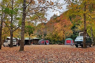 新竹尖石美樹營地 @定點露營